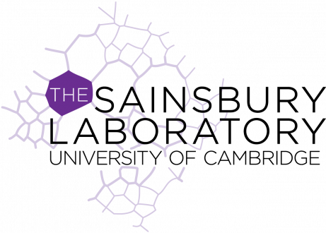 Provider Logo